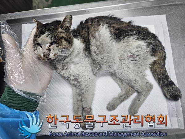종료(자연사) 한국…